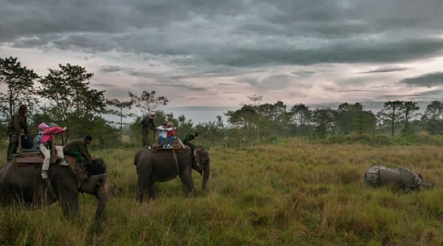 Chitwan