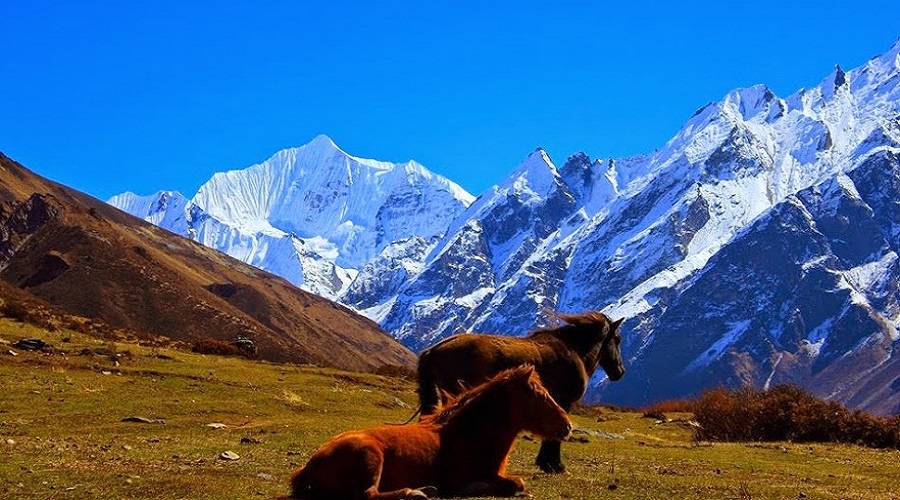 Langtang